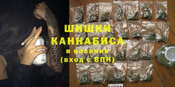 СК Медвежьегорск