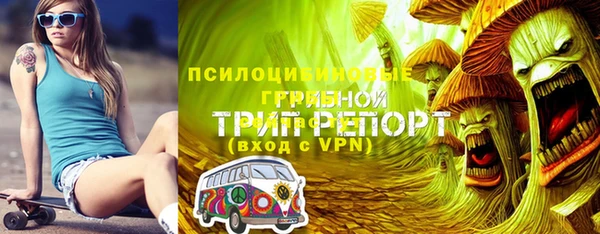 стафф Медногорск