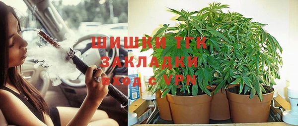 стафф Медногорск