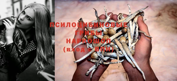 стафф Медногорск